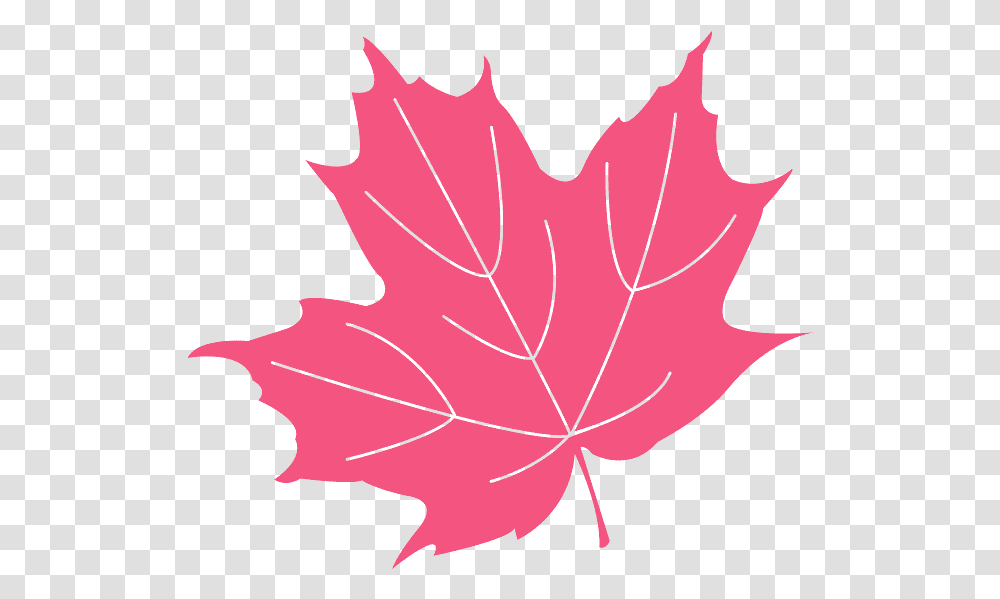Holly Leaf, Plant, Tree, Maple, Person Transparent Png