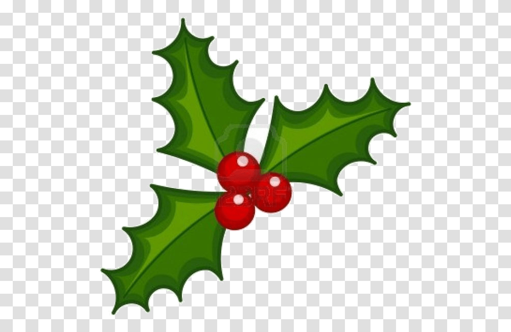 Holly Leaf X Christmas And Ivy Decorations Lights Card Clip Art Holly Berry, Plant, Tree, Grain, Produce Transparent Png