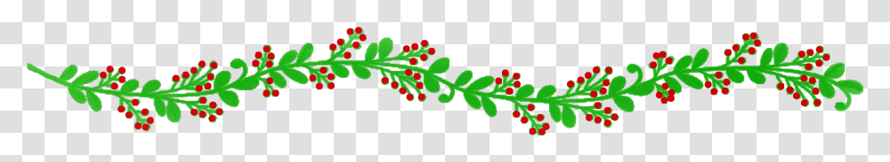 Holly, Plant, Leaf, Tree, Flower Transparent Png