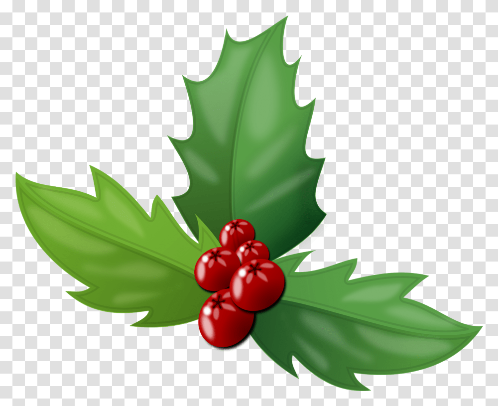 Holly Red Holly Berry, Plant, Leaf, Fruit, Food Transparent Png