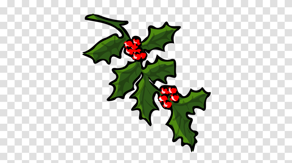 Holly Tree For Xmas Vector, Plant, Leaf, Flower, Blossom Transparent Png