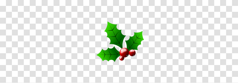 Holly With Berries Clip Art, Plant, Leaf, Fruit, Food Transparent Png