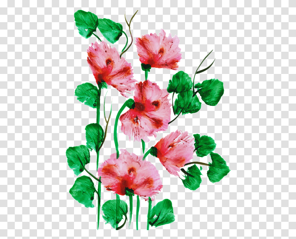 Hollyhocks, Plant, Flower, Blossom, Rose Transparent Png