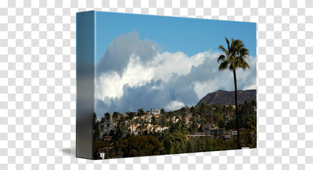 Hollywood Sign 09 By Brighteyesla Attalea Speciosa, Nature, Outdoors, Weather, Cumulus Transparent Png