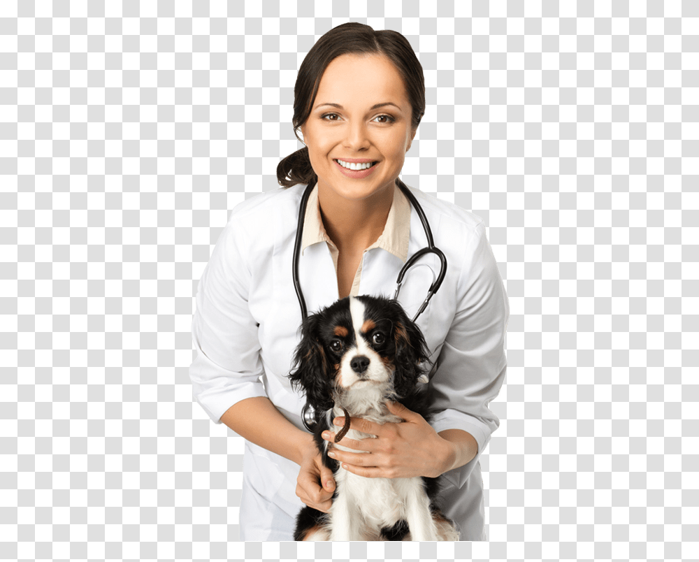 Hollywood Veterinarian Affordable Animal Hospital Vet In Health, Doctor, Person, Human Transparent Png