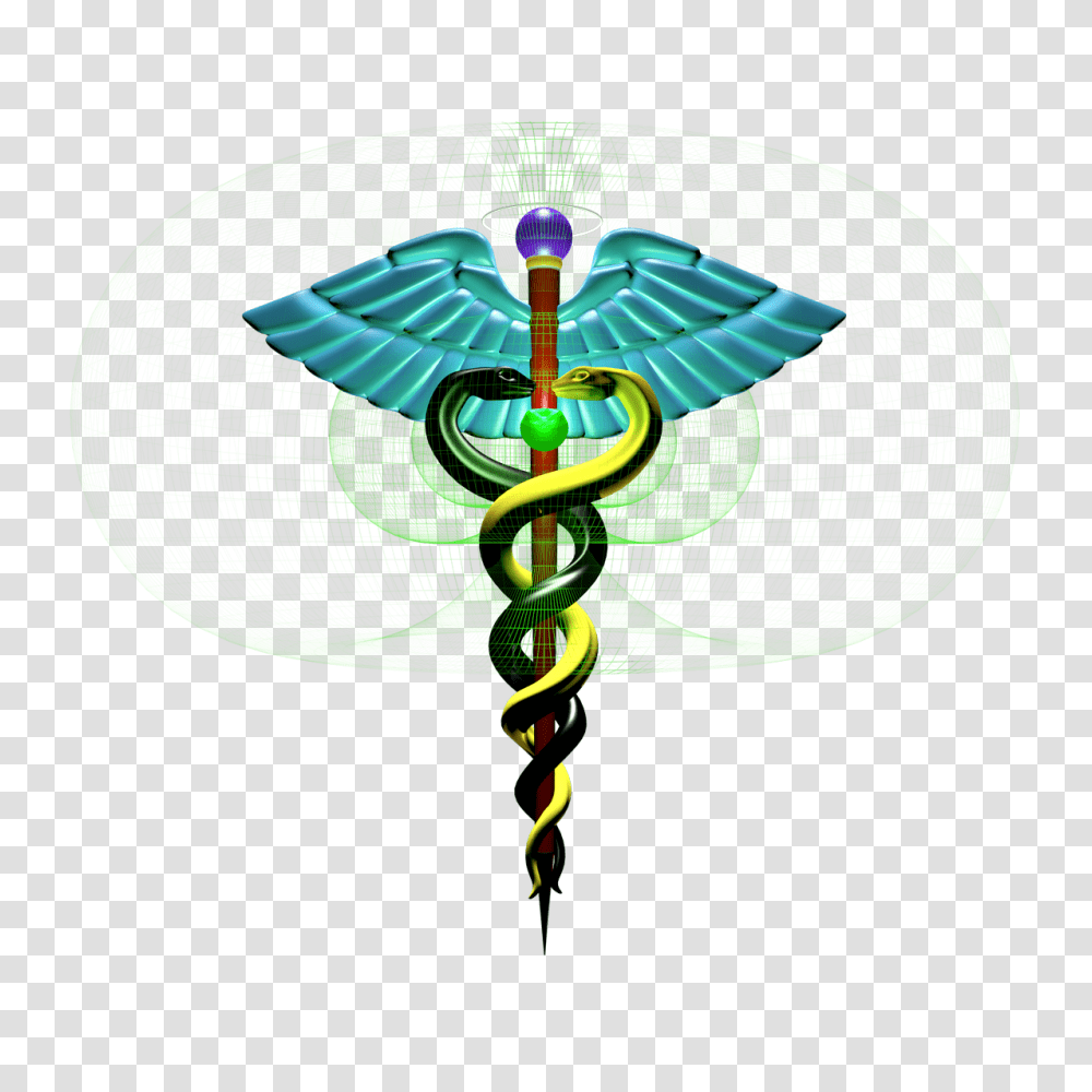 Holographic Healing, Rug, Snake, Reptile Transparent Png