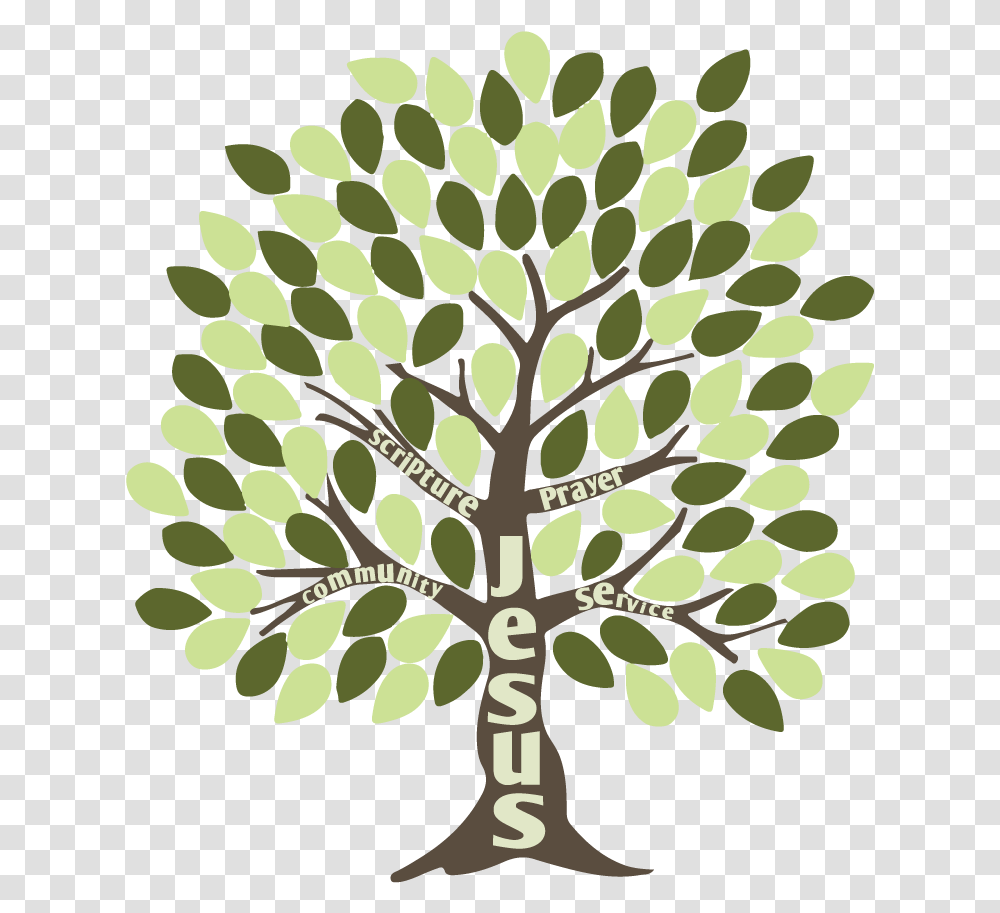 Holy Apostles Tree Clipart Download Illustration, Plant, Rug, Pattern, Floral Design Transparent Png