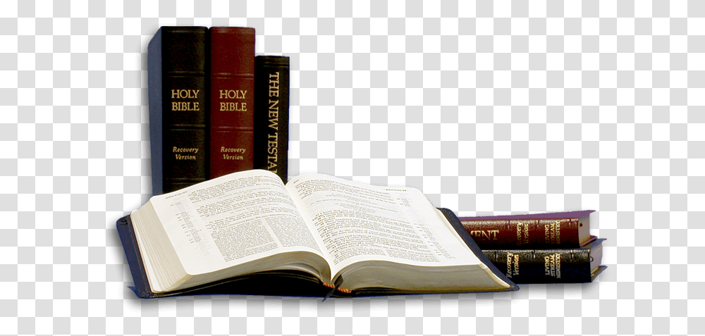 Holy Bible Recovery Version With Footnotes, Book, Novel, Library, Room Transparent Png