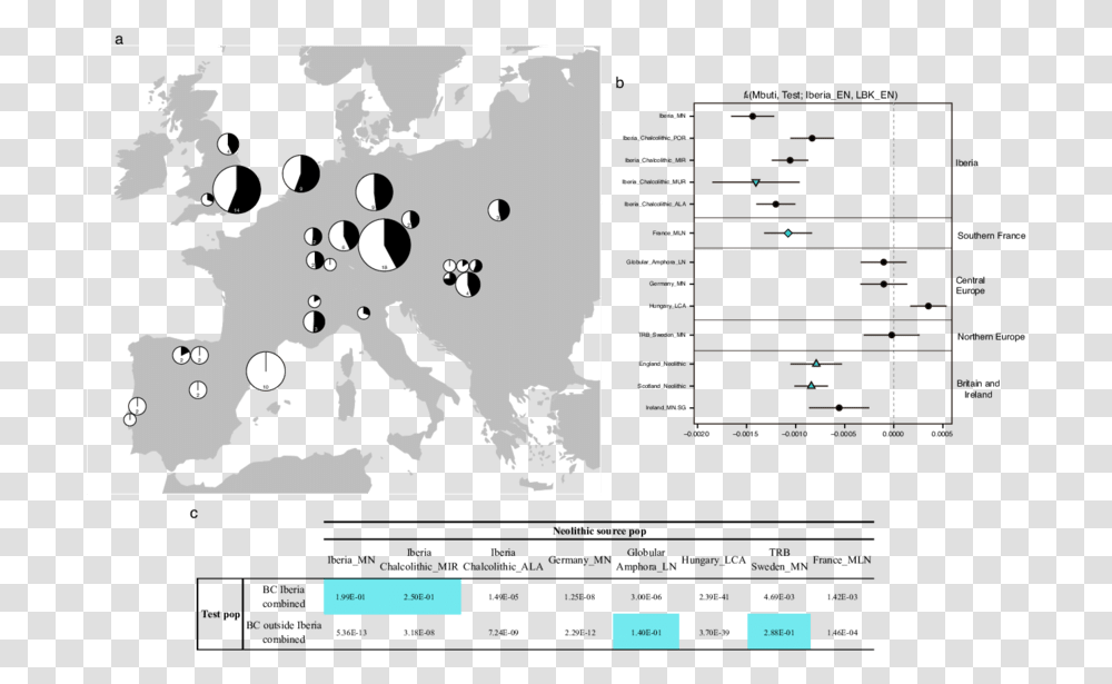 Holy See And The State Of Palestine, Plot, Diagram, Map Transparent Png