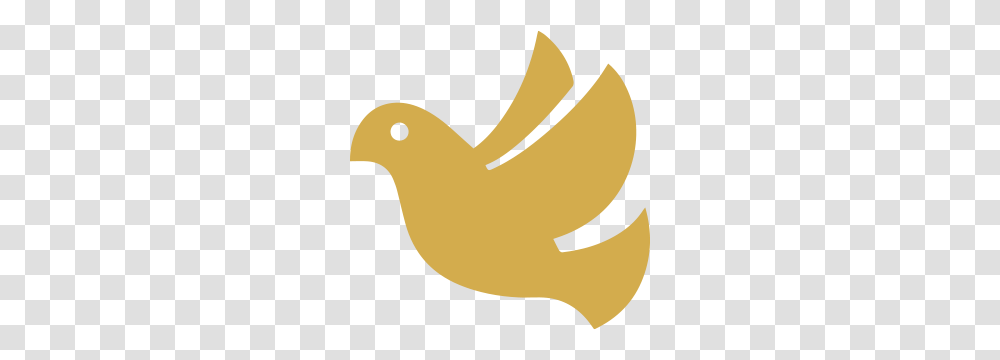 Holy Spirit Adg Icons, Animal, Bird, Scroll, Paper Transparent Png