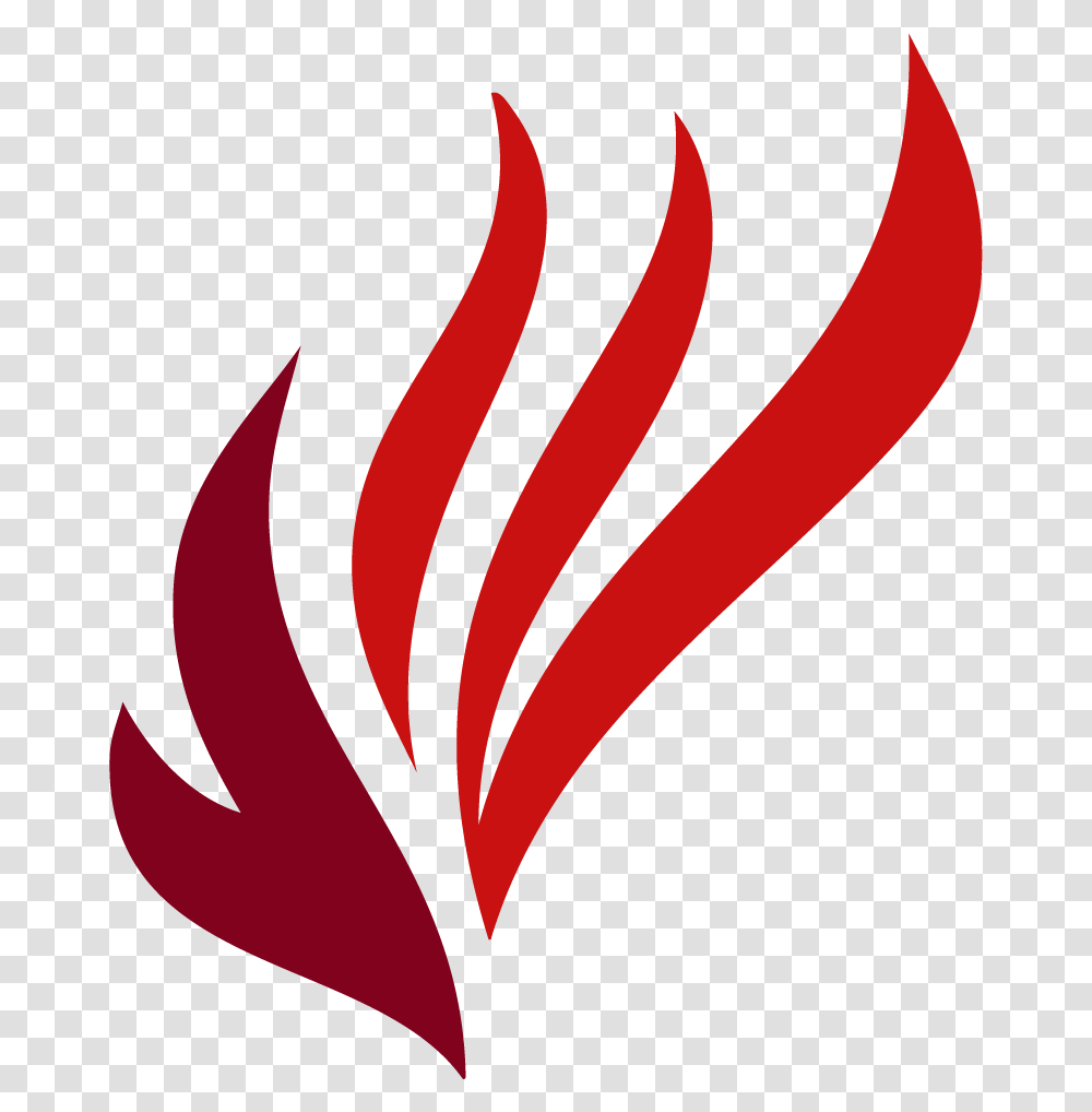 Holy Spirit Bible Logo Holy Fire Baptism, Flame Transparent Png