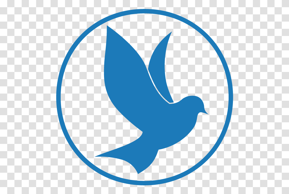 Holy Spirit Dove, Animal, Bird, Painting Transparent Png