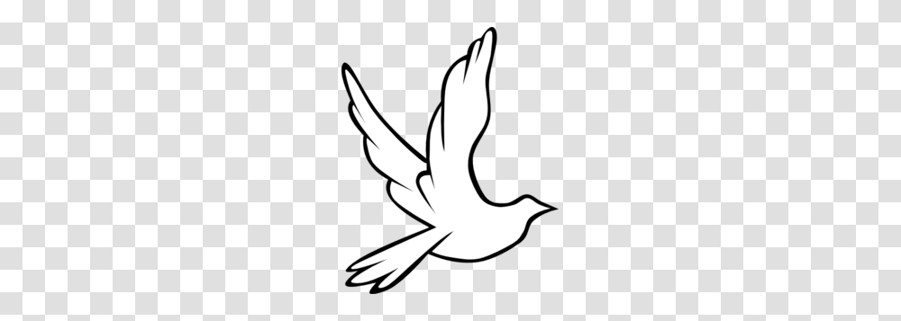 Holy Spirit Dove Clipart, Stencil, Animal, Bird, Silhouette Transparent Png