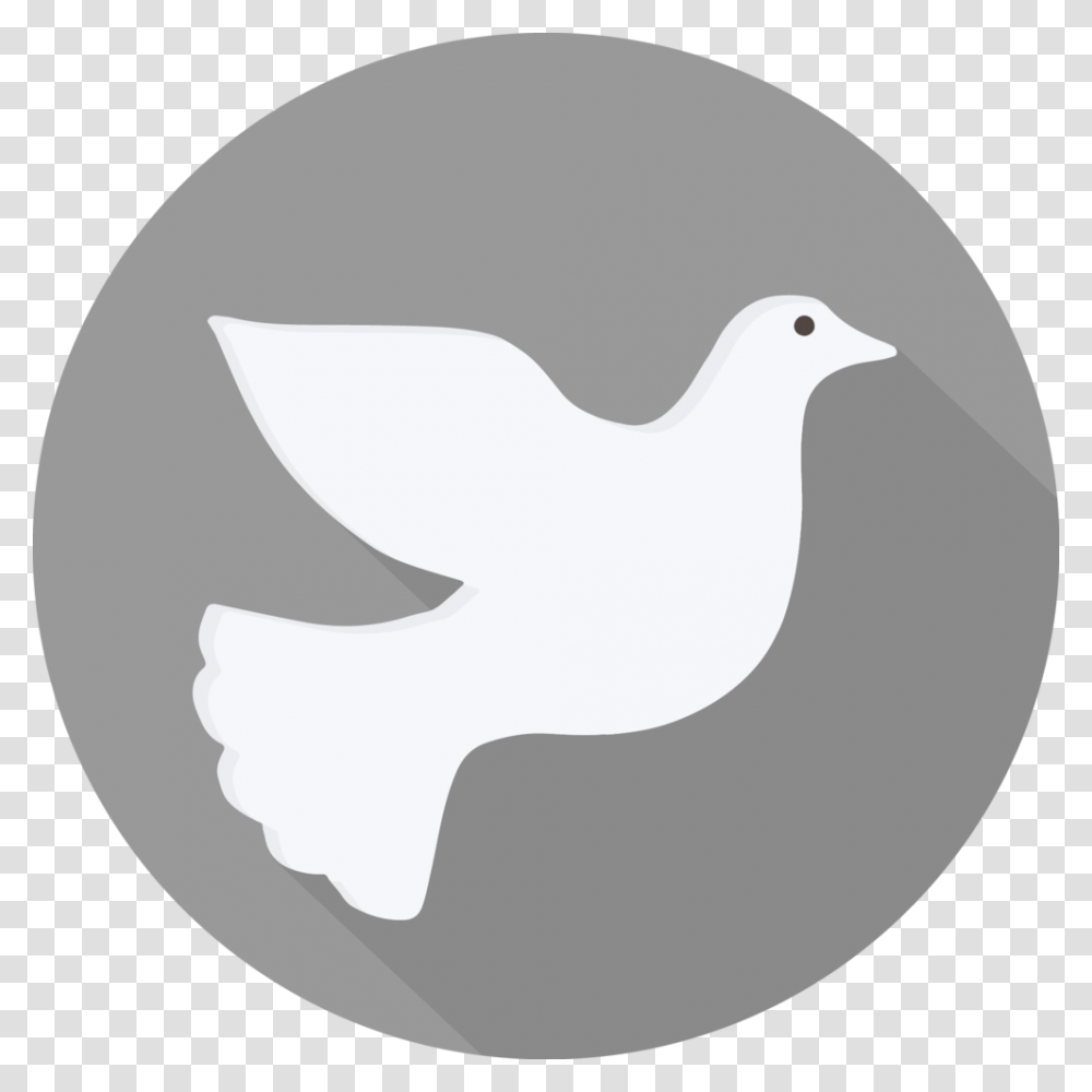 Holy Spirit White Holy Spirit Dove Bird, Animal, Pigeon Transparent Png