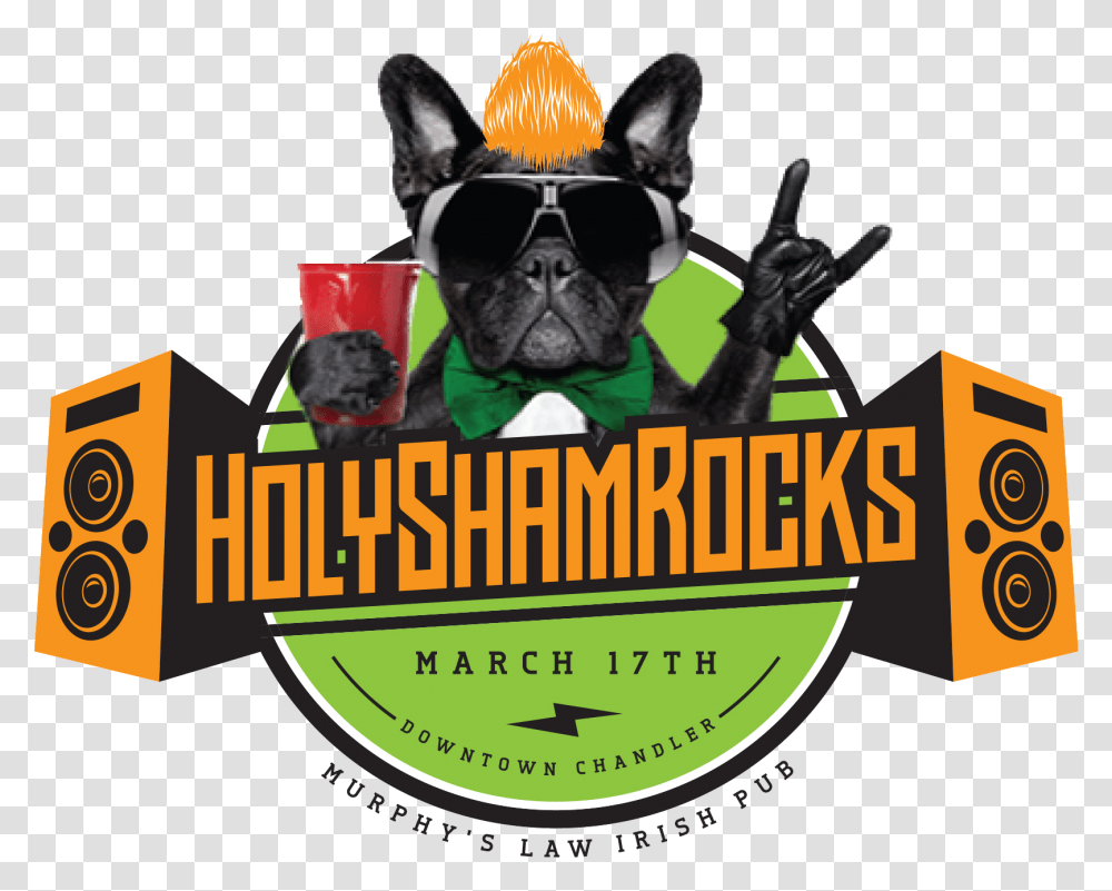 Holyshamrocks Shamrockfest Chandler Az, Sunglasses, Person, Canine, Mammal Transparent Png