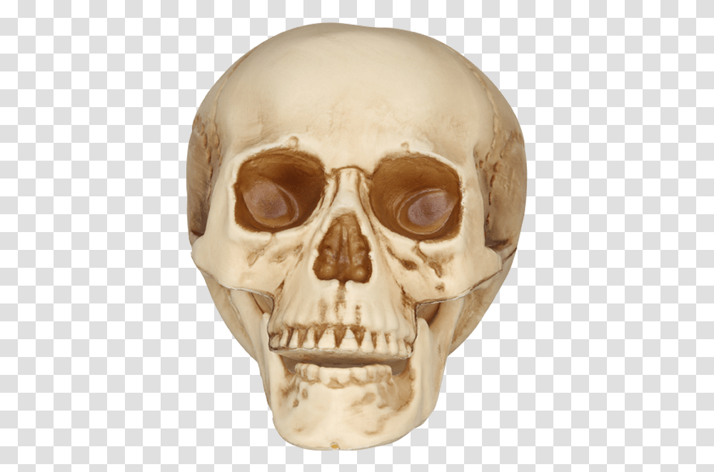 Home Accents Holiday 3 Creepy, Jaw, Head, Skeleton, Teeth Transparent Png