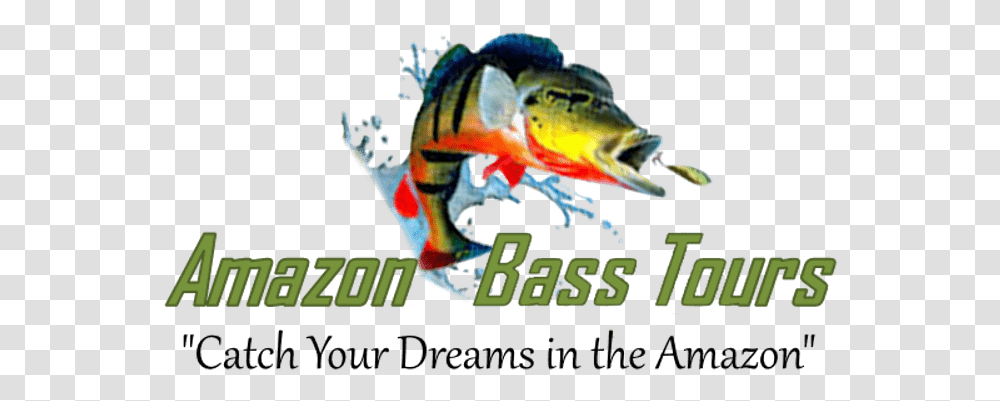 Home Amazonbasstourscom Language, Fish, Animal, Goldfish, Poster Transparent Png