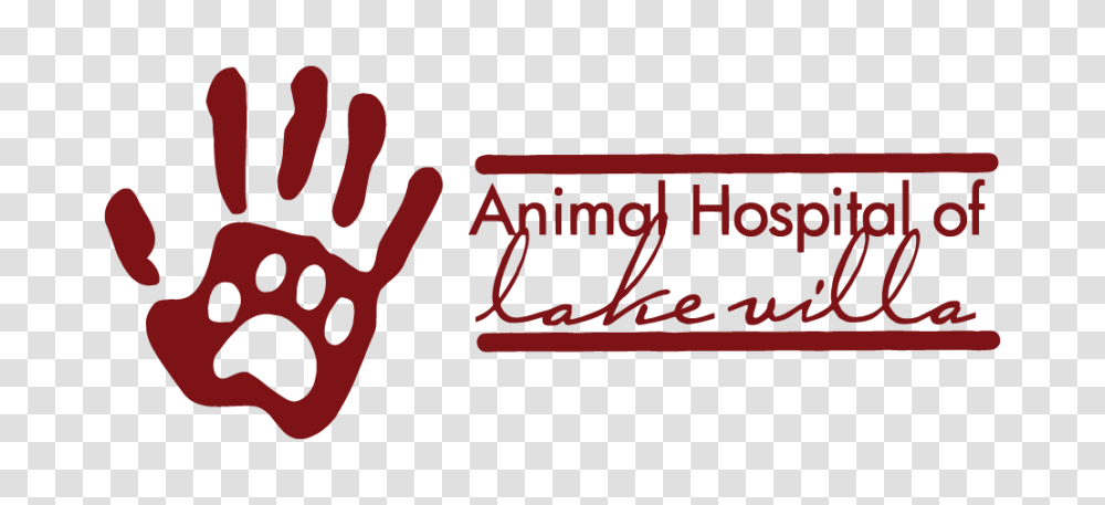 Home Animal Hospital Of Lake Villa, Hand, Ketchup, Food Transparent Png
