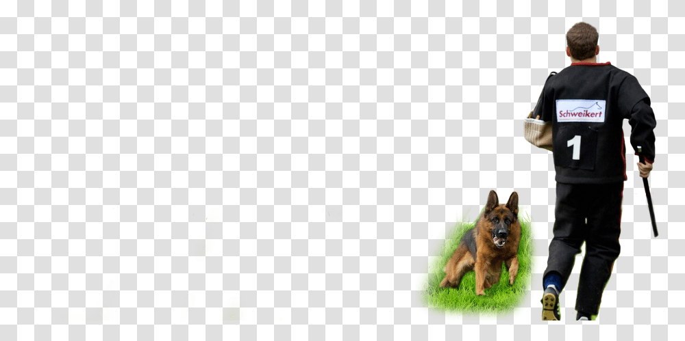 Home Animal Trainer, Person, Dog, Pet, Canine Transparent Png