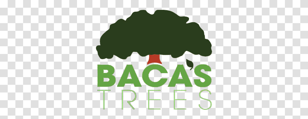 Home Baca's Trees Trees, Text, Plant, Word, Vegetation Transparent Png