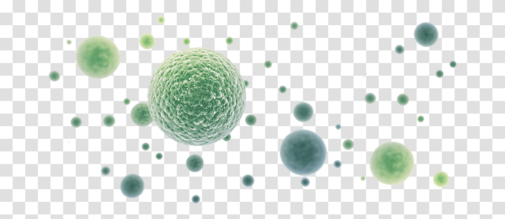 Home Bacrotec Bacteria Eco Worx, Sphere, Bubble, Crystal Transparent Png