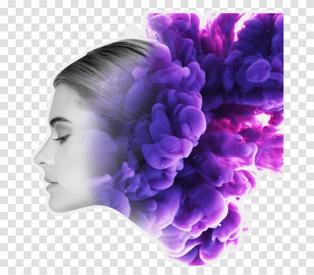 Home Bellaartificialintelligencecom Hair Design, Purple, Rose, Flower, Plant Transparent Png