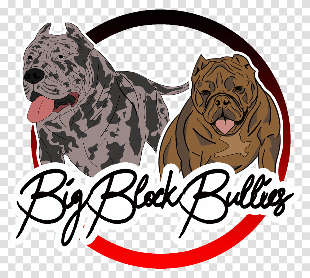 Home Big Block Bullies, Canine, Mammal, Animal, Pet Transparent Png