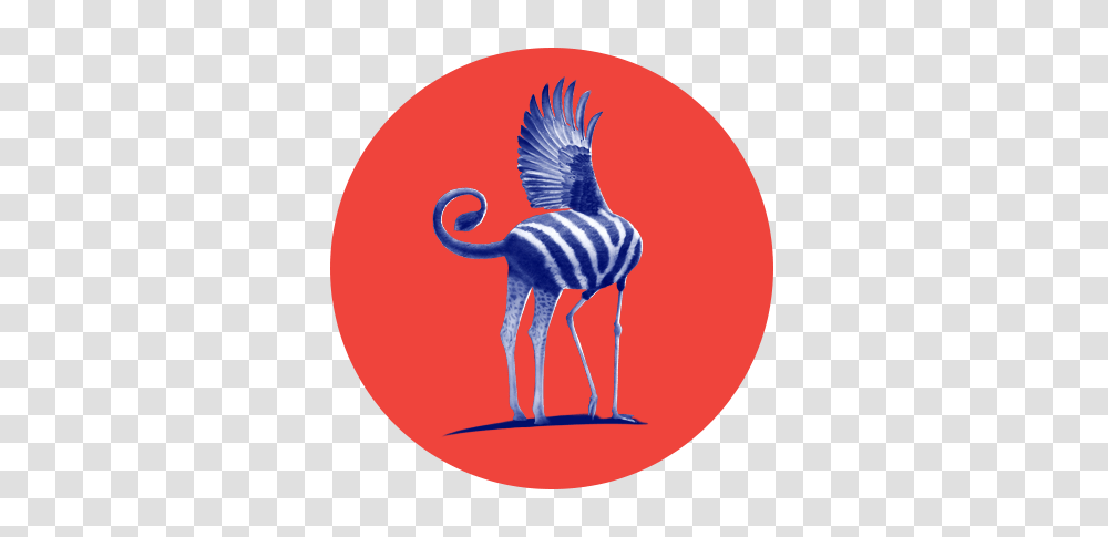 Home, Bird, Animal, Waterfowl, Zebra Transparent Png