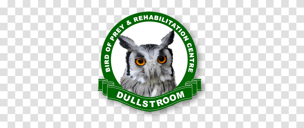 Home Birds Of Prey Dullstroom Bird Of Prey And Rehabilitation Centre, Logo, Symbol, Trademark, Cat Transparent Png