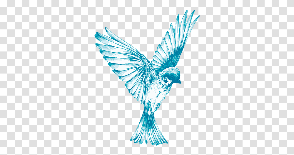 Home Bluebird Inventories Bird In Flight Black And White, Animal, Jay, Blue Jay, Trophy Transparent Png