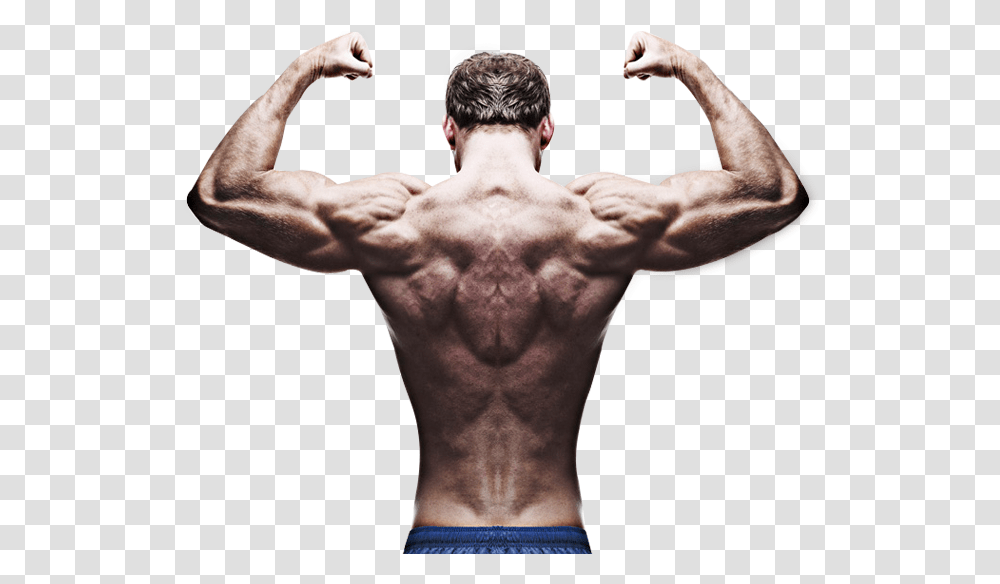 Home Bodybuilder Back Pose, Person, Human, Arm, Shoulder Transparent Png