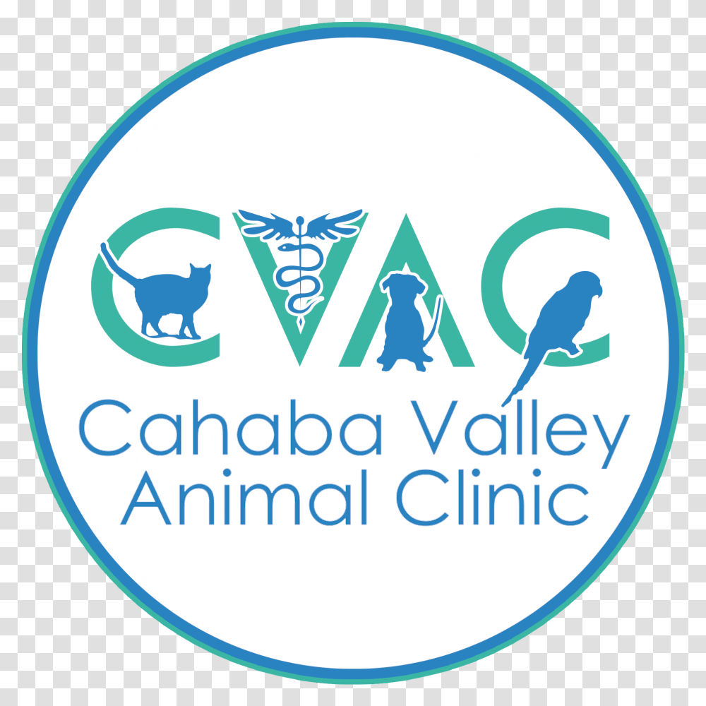 Home Cahaba Valley Animal Clinic In Birmingham Alabama Bath Abbey, Logo, Symbol, Label, Text Transparent Png