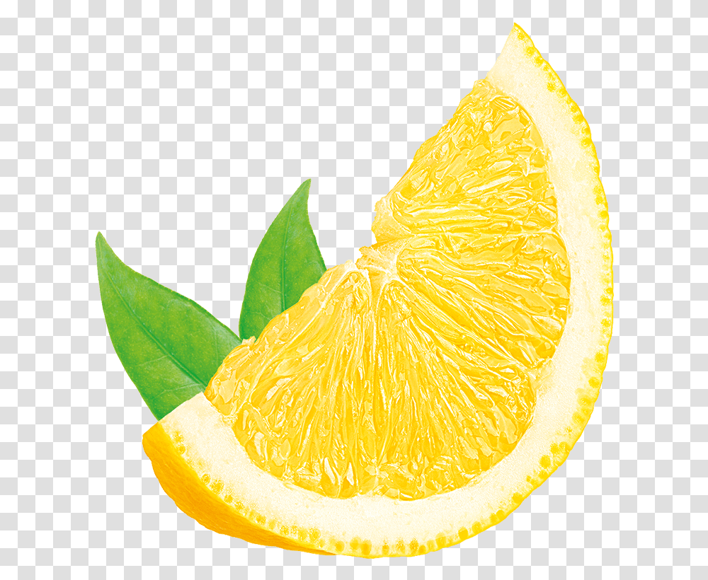 Home, Citrus Fruit, Plant, Food, Lemon Transparent Png