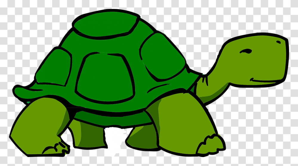 Home Clipart Turtle, Green, Reptile, Animal, Iguana Transparent Png