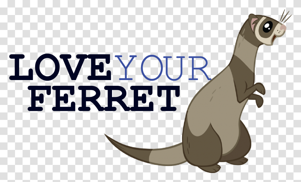 Home Ferret, Mammal, Animal, Wildlife, Aardvark Transparent Png