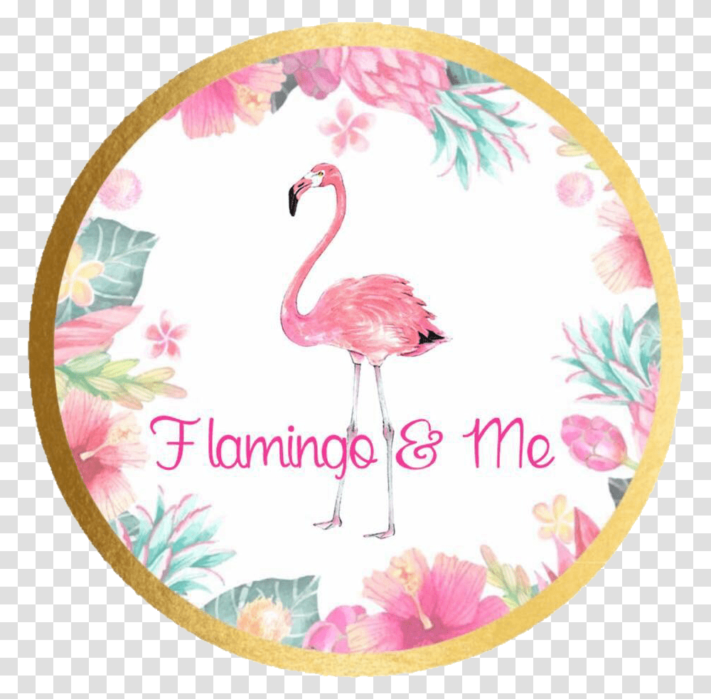 Home Flamingo & Me Floristeria Vanessa, Bird, Animal Transparent Png