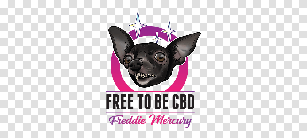 Home Free To Be Cbd Chihuahua, Advertisement, Poster, Flyer, Paper Transparent Png