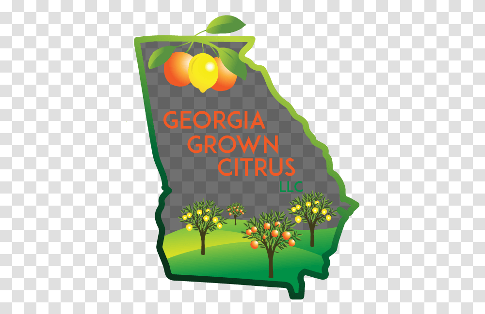 Home Georgia Grown Citrus Clip Art, Plant, Tree, Vegetation, Graphics Transparent Png