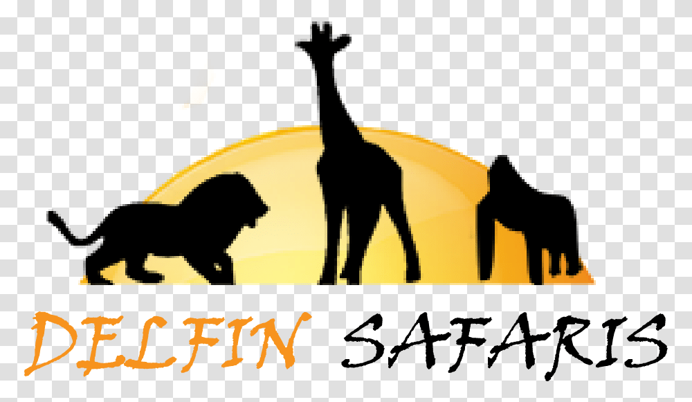 Home Giraffe, Silhouette, Outdoors, Nature, Poster Transparent Png