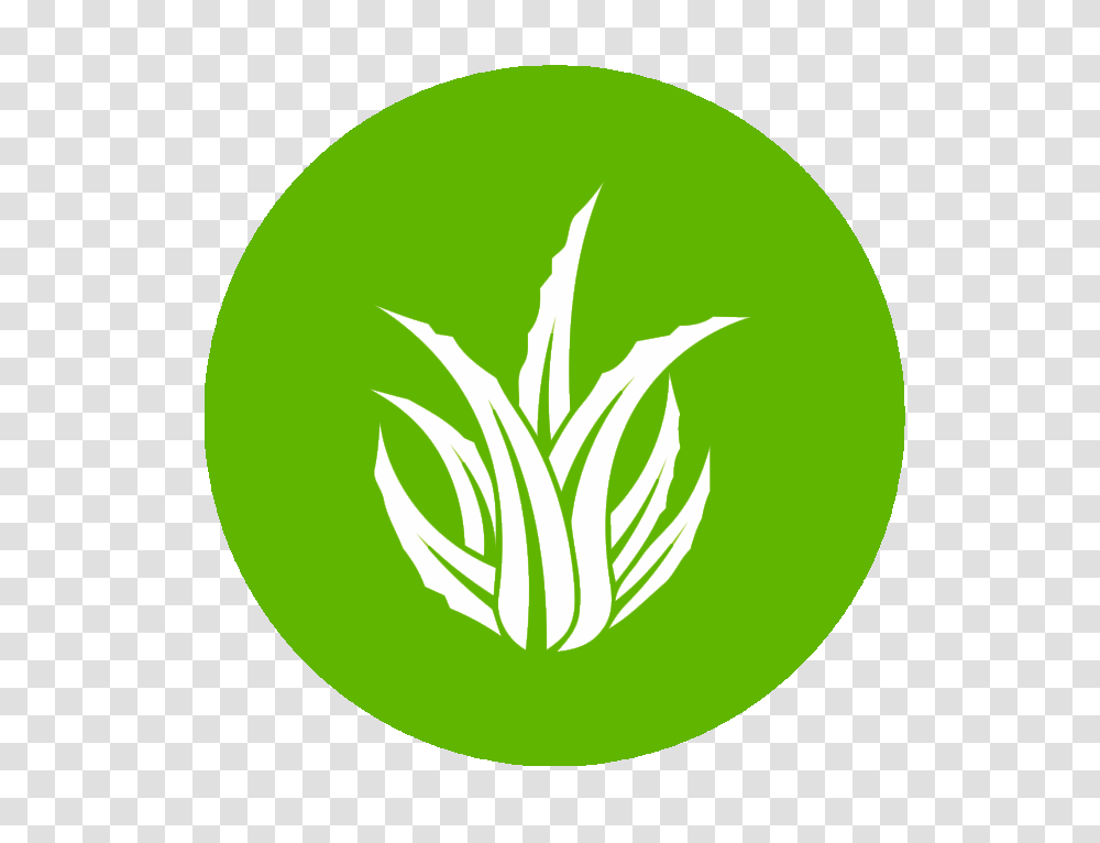 Home, Green, Plant, Logo Transparent Png