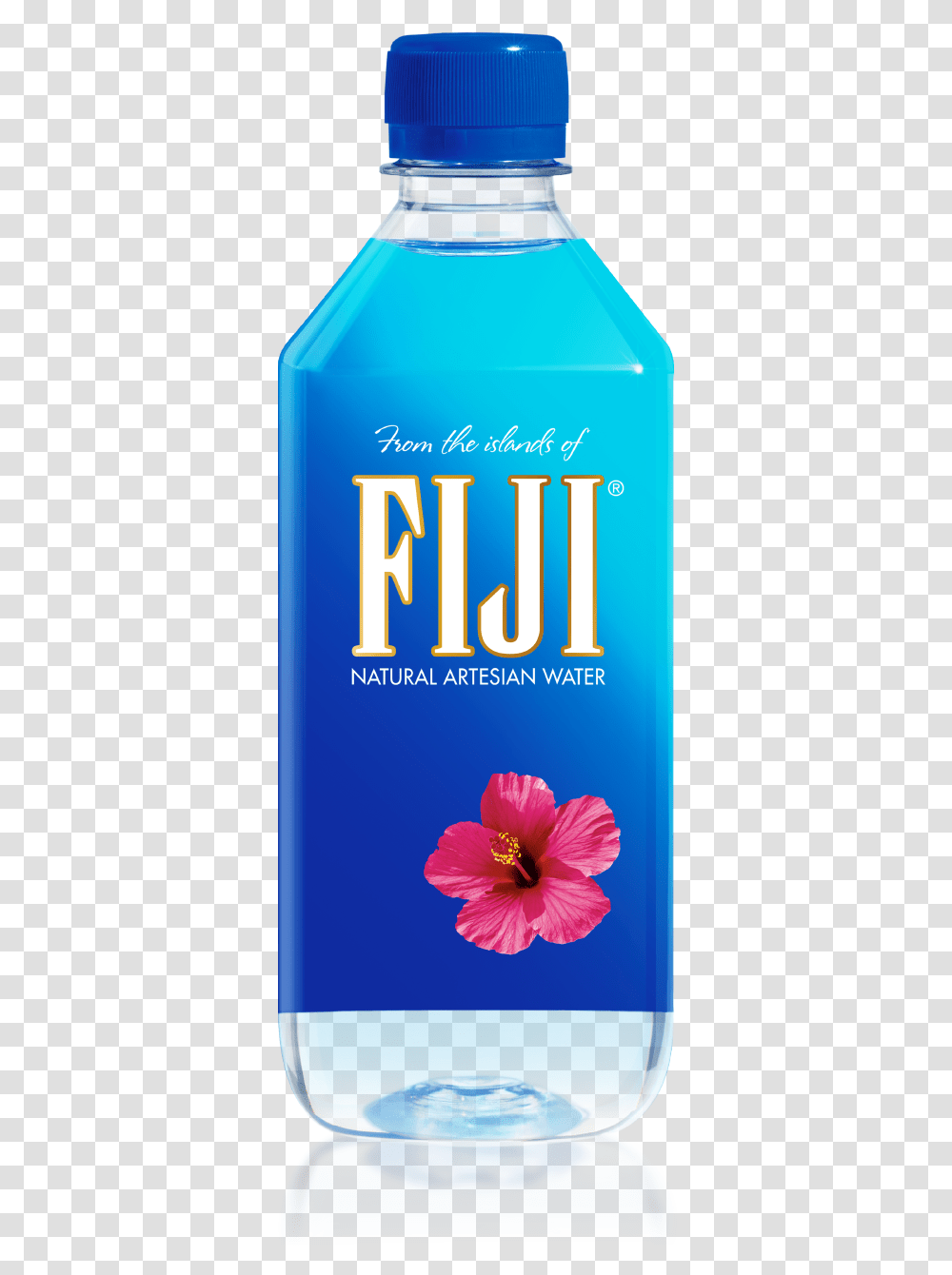 Home Hero Image Fiji Water, Petal, Flower, Plant, Tin Transparent Png