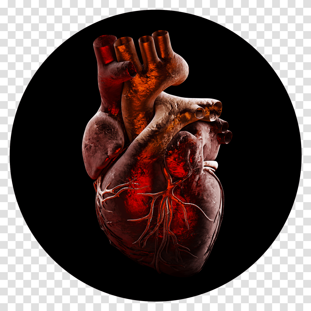 Home Hypertrophic Cardiomyopathy Association Hypertrophic Cardiomyopathy, Hand, Painting, Art, Skin Transparent Png