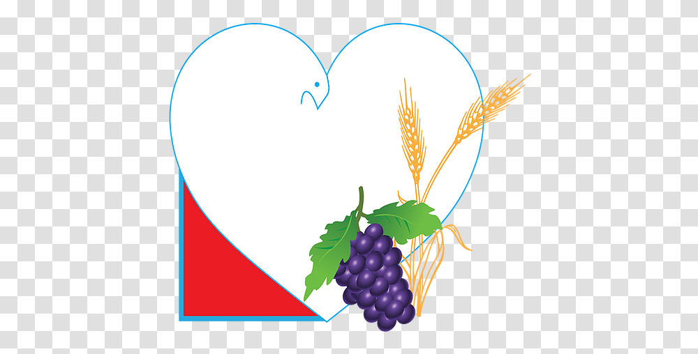 Home Illustration, Plant, Grapes, Fruit, Food Transparent Png