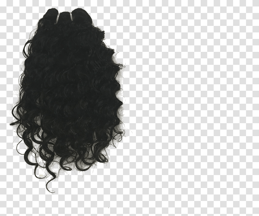 Home Indian Curly Indian Hair, Mineral, Person, Human, Silhouette Transparent Png