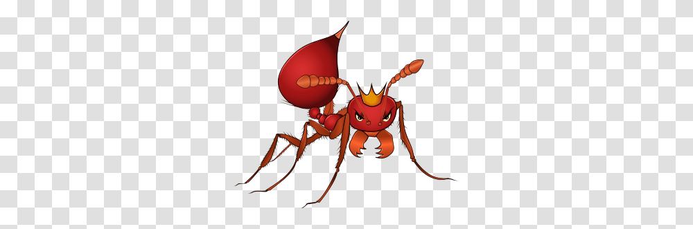 Home, Insect, Invertebrate, Animal, Ant Transparent Png