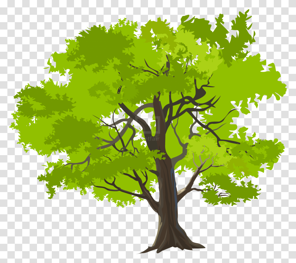 Home Insetfair Vector Nature, Tree, Plant, Tree Trunk, Green Transparent Png