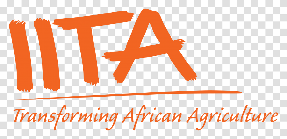 Home International Institute Of Tropical Agriculture Iita, Text, Alphabet, Word, Label Transparent Png