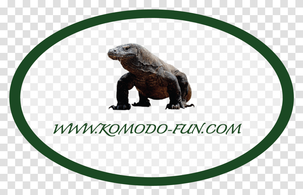 Home Komodofun Komodo Dragon, Reptile, Animal, Lizard, Iguana Transparent Png