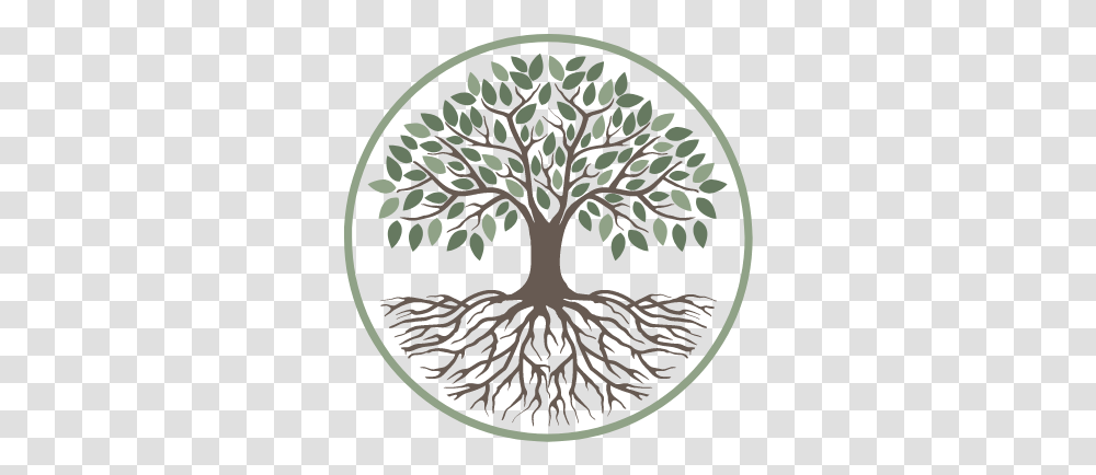Home Lachlan Hughes Foundation Supporting Regenerative Tree, Plant, Rug, Root Transparent Png