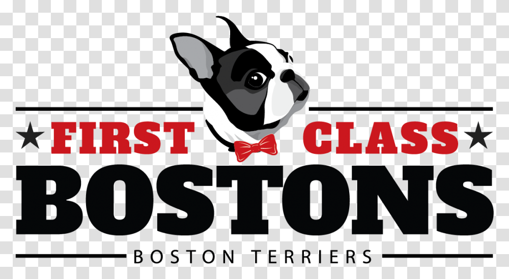 Home Language, Boston Bull, Bulldog, Pet, Canine Transparent Png